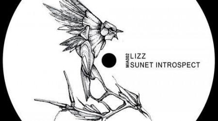 Lizz – Sunet Introspect Ep (vinyl only)