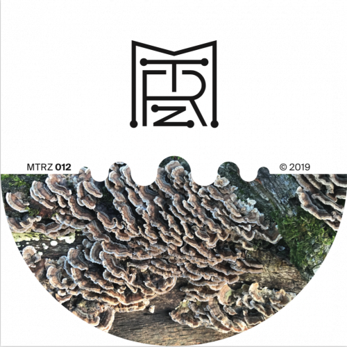 Ion Ludwig - A better future to long EP // MTRZ012